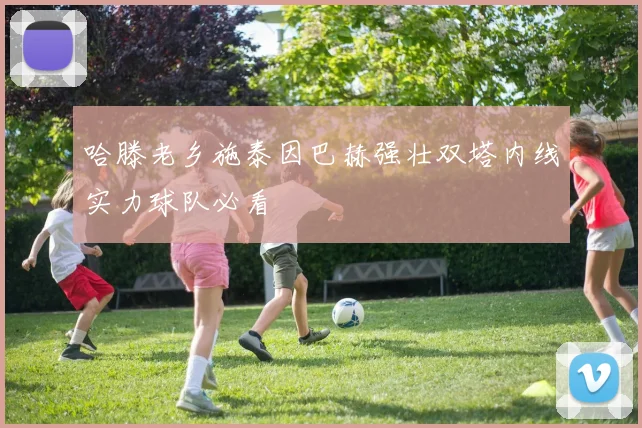 哈滕老乡施泰因巴赫强壮双塔内线实力球队必看