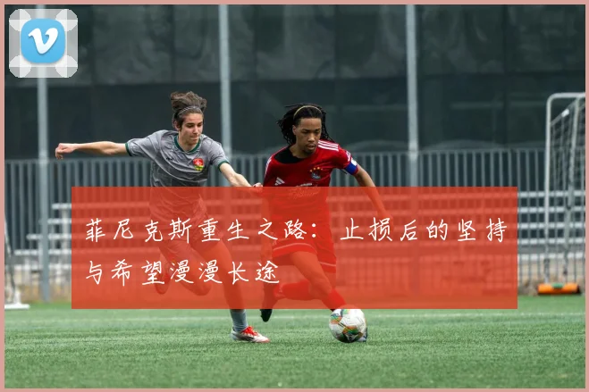 菲尼克斯重生之路：止损后的坚持与希望漫漫长途